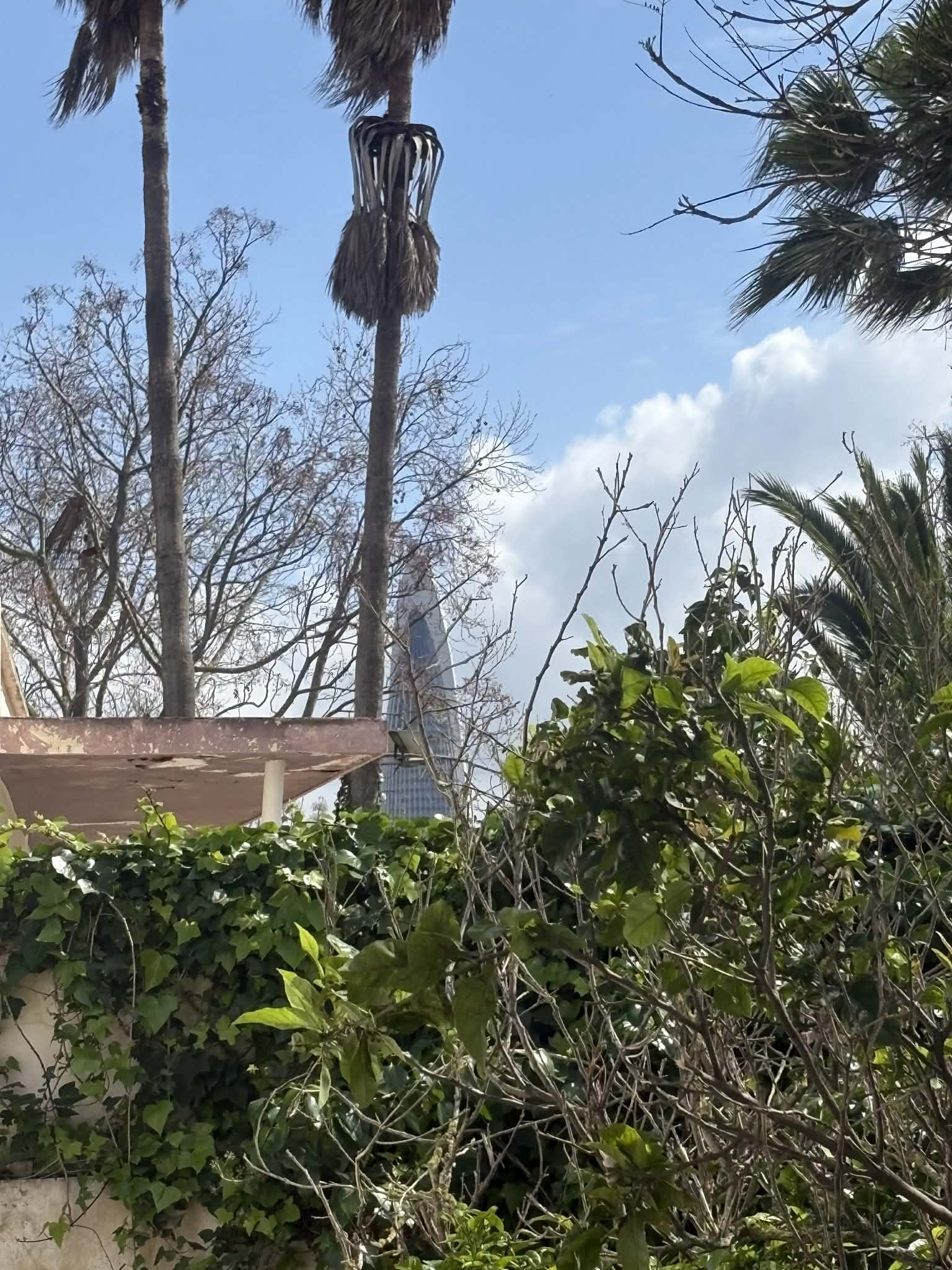 fc9be8c7-c083-4f04-9d97-06209f66f442